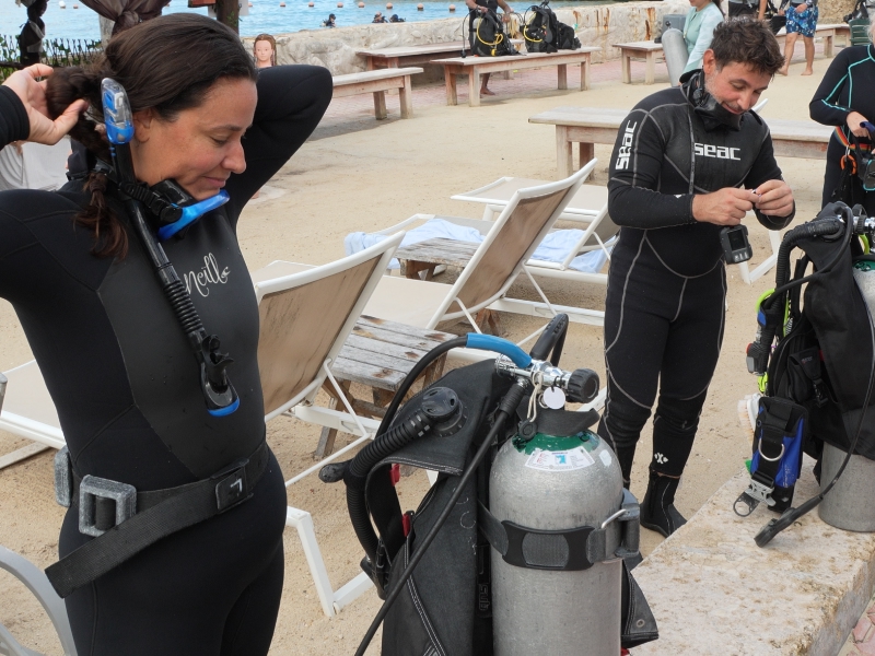 Cozumel Coral Reef Conservation Course  photo 3