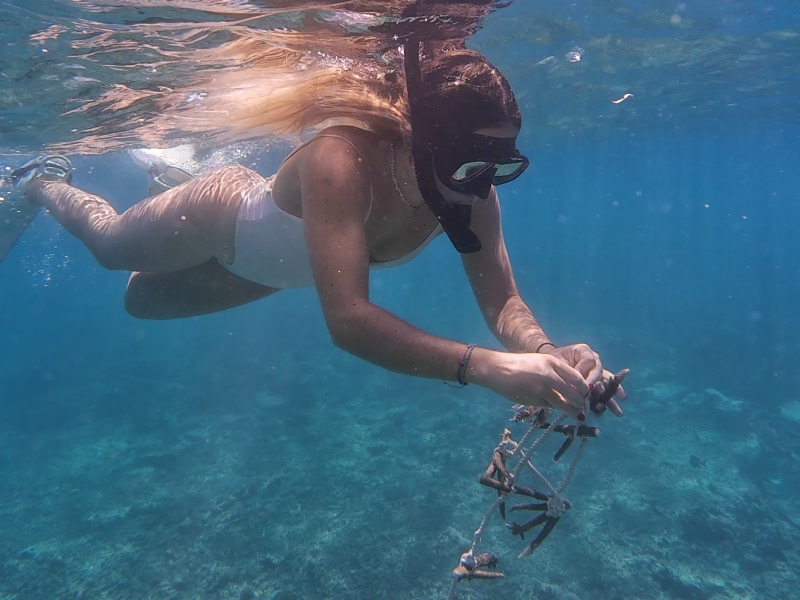 Nusa Penida Coral Restoration Snorkel Tour photo 3